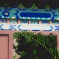 Close up on palm leaf; Chinese painted architecture in background