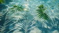 A close up of a palm leaf and its shadow in the water, AI Royalty Free Stock Photo