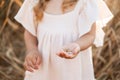 close up palm of little girl hand with wheat grains Royalty Free Stock Photo