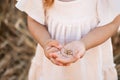 close up palm of little girl hand with wheat grains Royalty Free Stock Photo