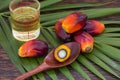 Close up of Palm Oil fruits with cooking oil and palm leaf on a wooden background