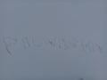 Name written in snow ground