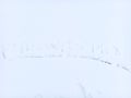 Name Written in Snow ground