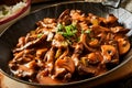 Close up of a pan of beef stroganoff Royalty Free Stock Photo