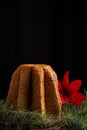 Close-up of pandoro sponge cake on wooden board with green branches and poinsettia on black background,