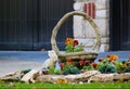 Close-up of pansies growing behind landscape rocks near a bunny and basket statue in front of a house - selective focus Royalty Free Stock Photo