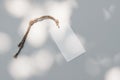 Close-up of paper gift tag, price label with string of sisal trope on white table background in sunlight. Branding mock