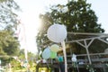 Close up of a paper lantern at a garden party. Ideas for simple elegant decorations for outdoor BBQ, garden, or grill