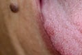 Close up of papillae on a tongue sticking out Royalty Free Stock Photo