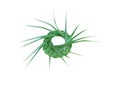 Parade hats made from fresh green palm leaf  , woven texture crafts isolated on white background with clipping path Royalty Free Stock Photo