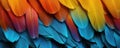 Close up of parrot feathers. ai generated Royalty Free Stock Photo