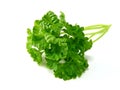 A close up of parsley