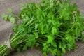 Close up of the parsley bundle on hessian