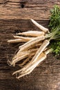 Close-up parsnip with parsley top on wooden board Royalty Free Stock Photo