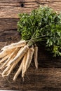 Close-up parsnip with parsley top on wooden board Royalty Free Stock Photo