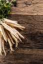 Close-up parsnip with parsley top on wooden board Royalty Free Stock Photo