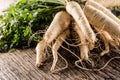 Close-up parsnip with parsley top on wooden board Royalty Free Stock Photo