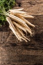 Close-up parsnip with parsley top on wooden board Royalty Free Stock Photo