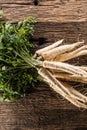 Close-up parsnip with parsley top on wooden board Royalty Free Stock Photo