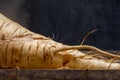 Close up photo of parsnip on wooden platter.  Parnsips are a winter root vegetable native to Britain. Royalty Free Stock Photo