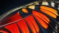 Butterfly wing closeup with vibrant color transition background image Royalty Free Stock Photo