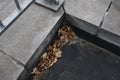 Dried autumn leaves in the corner of a bridge.