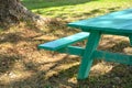 Close up part of green wooden picnic bench under big tree in park. Free copy space for text Royalty Free Stock Photo