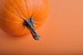 Close-up of a part of a large beautiful orange pumpkin with a tail on a harmonious light red background.