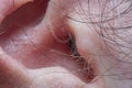 Close-up of part of the male ear in soft focus Royalty Free Stock Photo