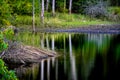 Shoreline at Lake Fort Smith in Arkansas Royalty Free Stock Photo