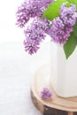 Close-up part of white ceramic pot with purple blooming lilac standing on wooden round board, on table.