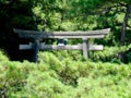 Close up of a parte of a stone Torii gate located at Katsurahama beach in Kochi, Japan