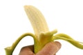 Half peeled banana in hand close up on white background Royalty Free Stock Photo