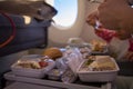 Close-up passenger plane eats tasty hot meal on board on a folding table. in the background is a window in the porthole. Royalty Free Stock Photo