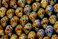 Close up pattern of dongfeng snail shells on dark background Royalty Free Stock Photo