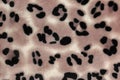 Close-up pattern of fleece fabric with leopard pattern. Brown-beige and black striped repeating on the surface of fur clothes, Royalty Free Stock Photo