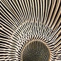 A close-up of a patterned seashell4, Generative AI