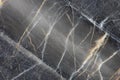 Close up patterned structure of dark gray marble pattern Gold Russia texture background