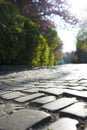 Close up of pavement of the old street. Royalty Free Stock Photo