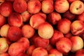 Close up of peaches at street market Royalty Free Stock Photo