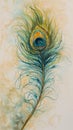 Close Up of a Peacock Feather on a Blurry Background Royalty Free Stock Photo