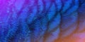Close-up Peacocks, colorful details and beautiful peacock feathers.Macro photograph Royalty Free Stock Photo