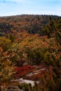 Close-up of Peak Fall Foliage on Mount Major