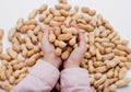 Close up, Peanut in the hands of a child isolated on white