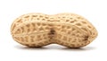 A peanut shell on a white background (ai generated) Royalty Free Stock Photo