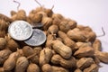 Close up of Peanuts or Groundnuts with indian coins on isolated background Royalty Free Stock Photo
