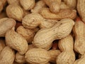 close up of peanuts with shell, dry roasted and unshelled nuts as healthy snack