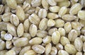 Close up of pearl barley