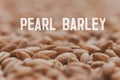 A close up of pearl barley grains. Raw porridge top view. Grain pattern. Vegan Raw Food. Royalty Free Stock Photo