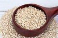 Close up of pearl barley in wooden scoop Royalty Free Stock Photo